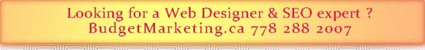 Mount Pleasant Web Designer